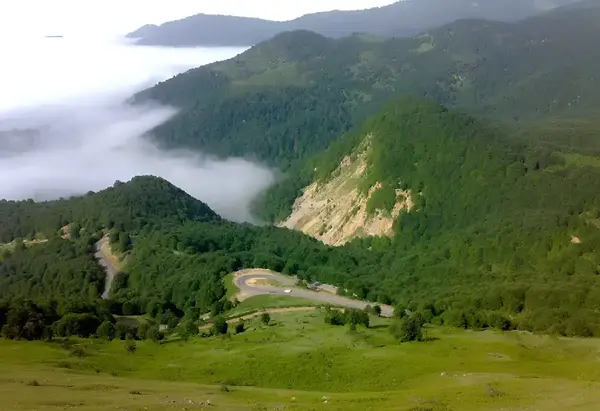 عکس طبیعت سیاهکل