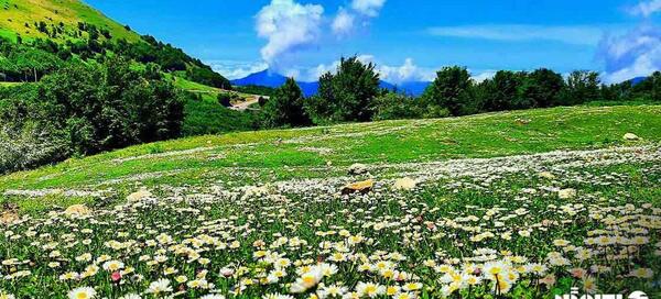 عکس طبیعت سیاهکل