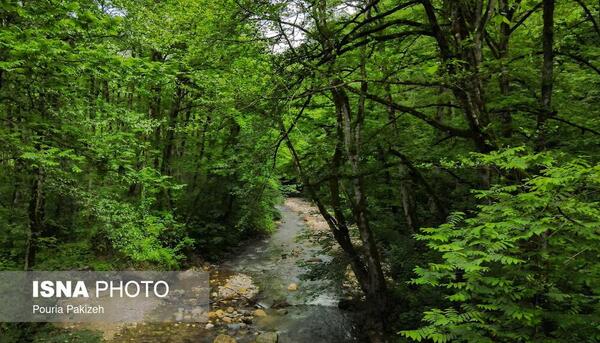 عکس طبیعت سیاهکل