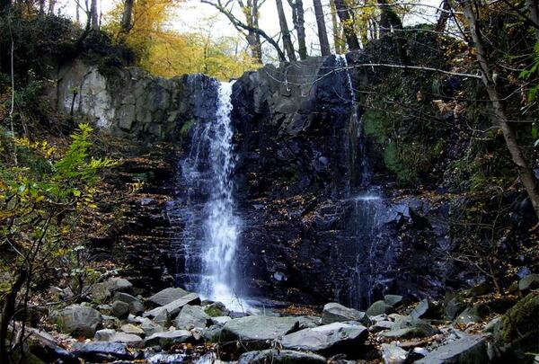 عکس طبیعت سیاهکل