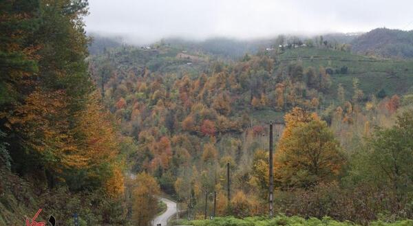 عکس طبیعت سیاهکل