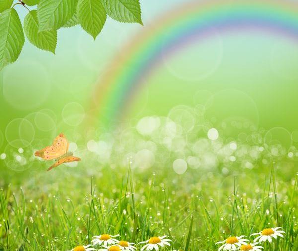 عکس زمینه طبیعت سبز