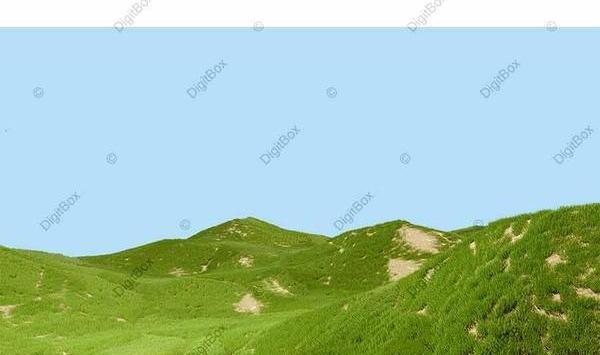 عکس زمینه طبیعت سبز