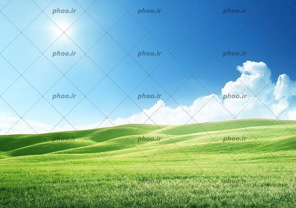 عکس زمینه طبیعت سبز