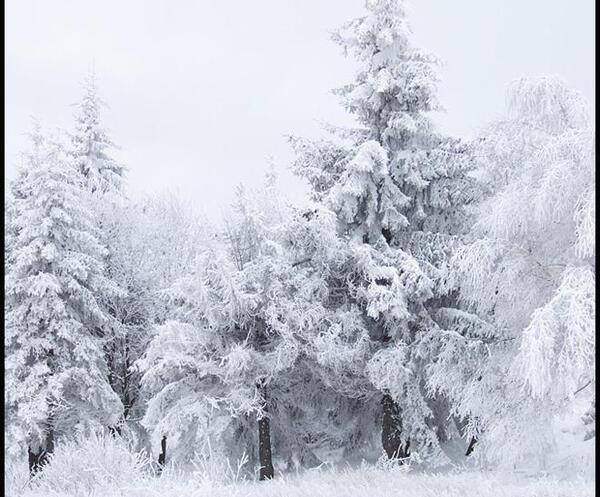 عکس طبیعت زمستانی اروپا