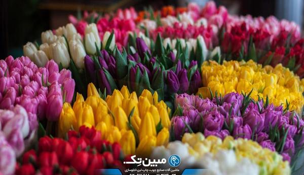 عکس طبیعت با کیفیت بالا برای چاپ