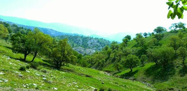 عکس طبیعت بهاری ایلام