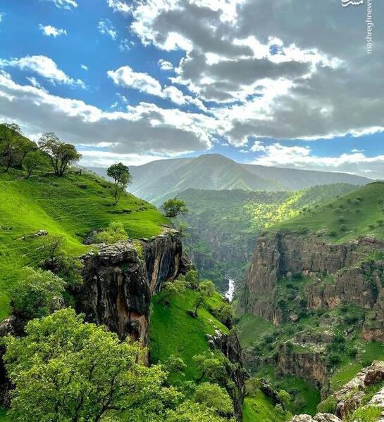عکس طبیعت بهاری ایلام