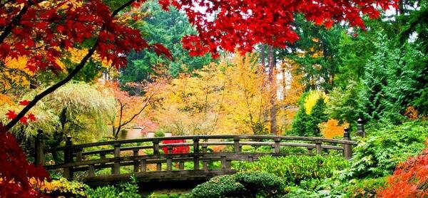 دانلود عکس طبیعت اچ دی