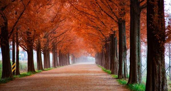 دانلود عکس طبیعت اچ دی