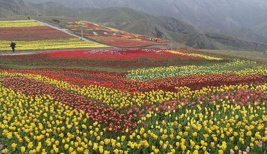 عکس طبیعت زیبای اردبیل