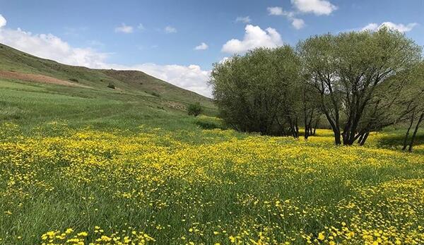 عکس طبیعت زیبای اردبیل