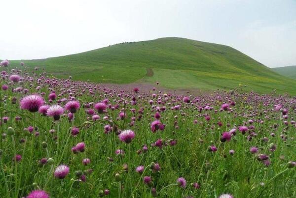 عکس طبیعت زیبای اردبیل