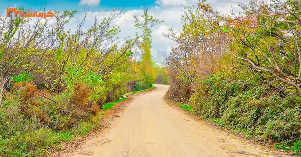 عکس طبیعت شهر سرپل ذهاب