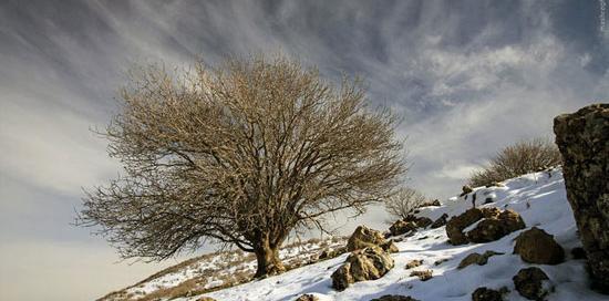 عکس طبیعت زمستان