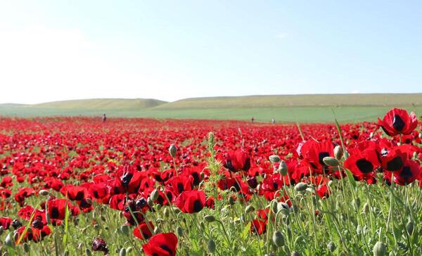 دانلود عکس طبیعت اردبیل