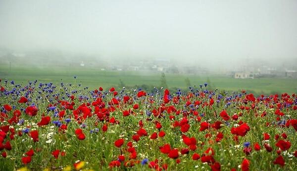 دانلود عکس طبیعت اردبیل