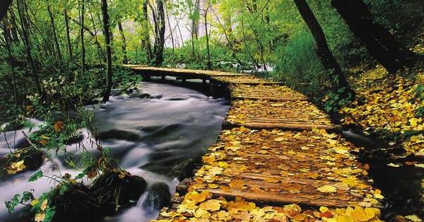 خوشگل ترین عکس طبیعت