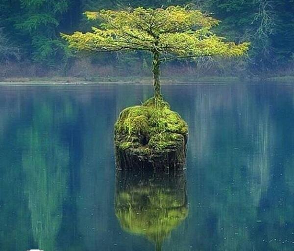 خوشگل ترین عکس طبیعت
