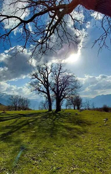 عکس خیلی زیبای طبیعت