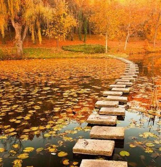 عکس خیلی زیبای طبیعت