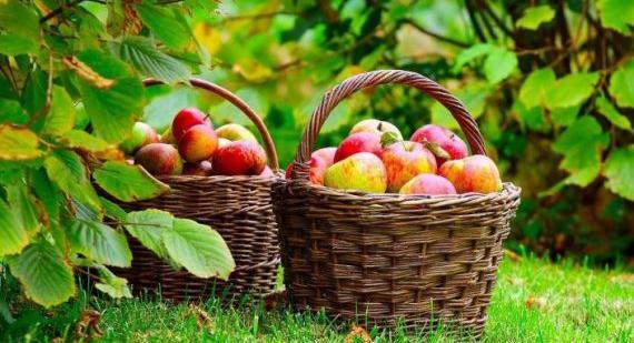عکس خیلی زیبای طبیعت
