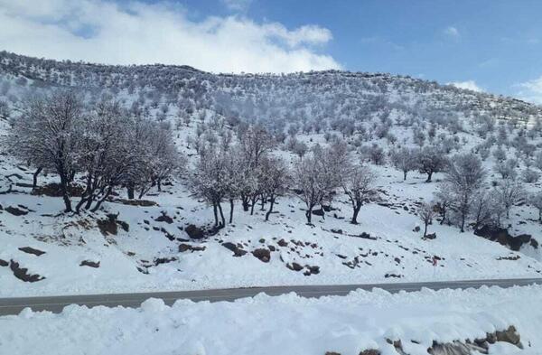 عکس طبیعت برفی ایران