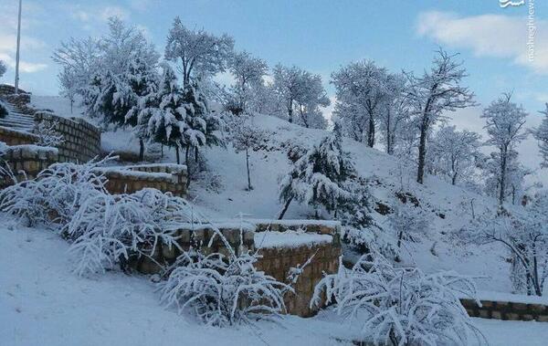 عکس طبیعت برفی ایران
