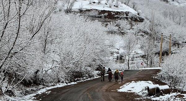 عکس طبیعت برفی ایران