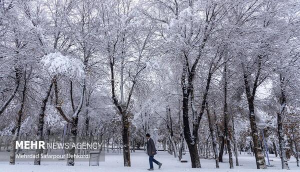 عکس طبیعت برفی ایران