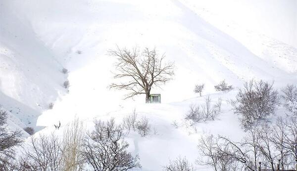 عکس طبیعت برفی ایران