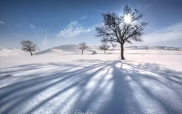 عکس حرفه ای طبیعت