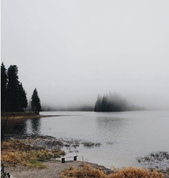عکس حرفه ای طبیعت