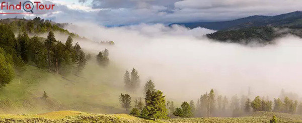 عکس حرفه ای از طبیعت