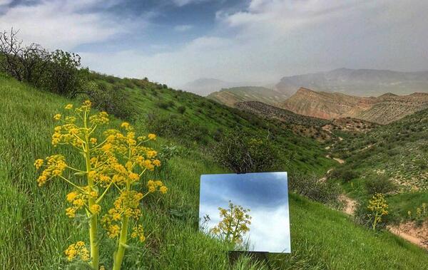 عکس حرفه ای از طبیعت