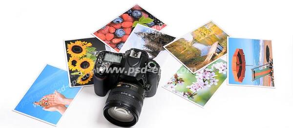 عکس های حرفه ای در طبیعت