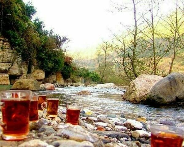عکس طبیعت و چایی
