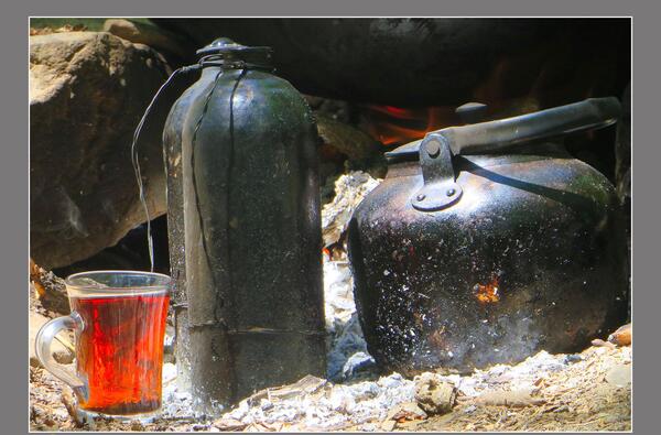 عکس طبیعت و چایی