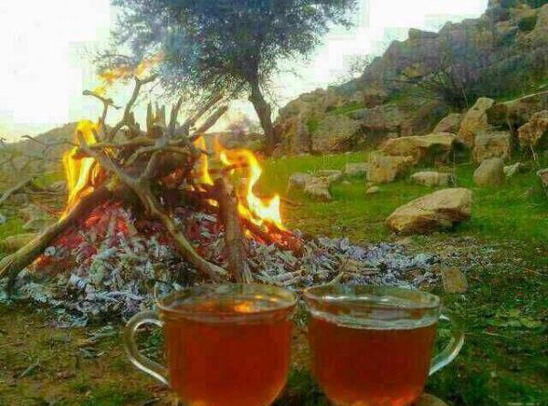 عکس طبیعت و چایی