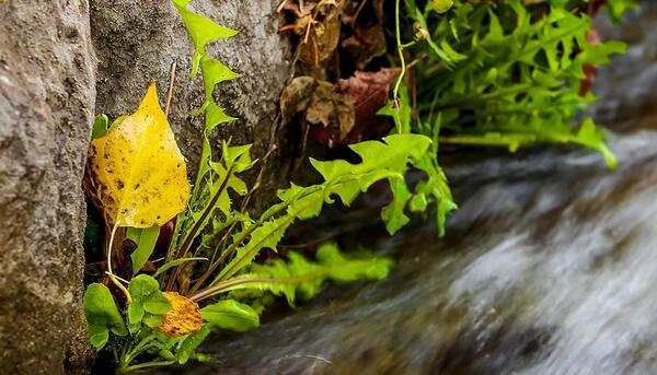 عکس طبیعت شهر تبریز