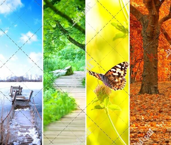 عکس های چهار فصل طبیعت