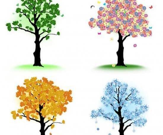 عکس های چهار فصل طبیعت