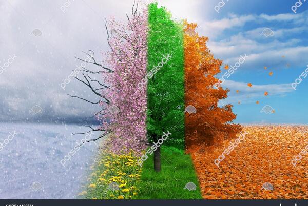 عکس های چهار فصل طبیعت