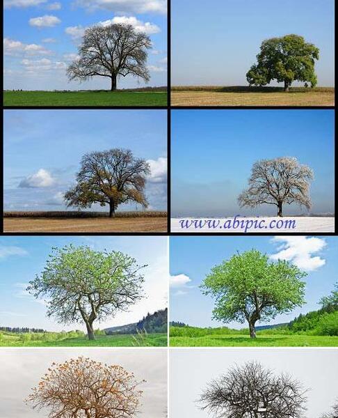 عکس های چهار فصل طبیعت