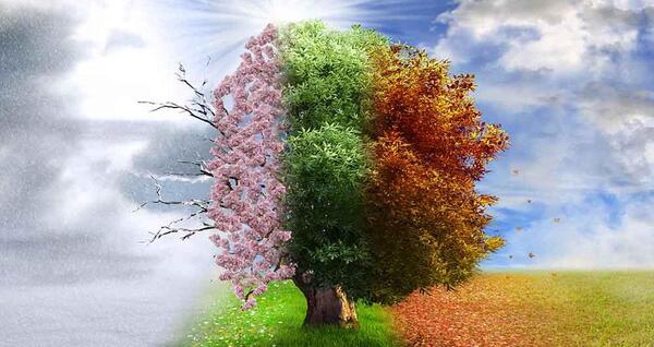 عکس های چهار فصل طبیعت