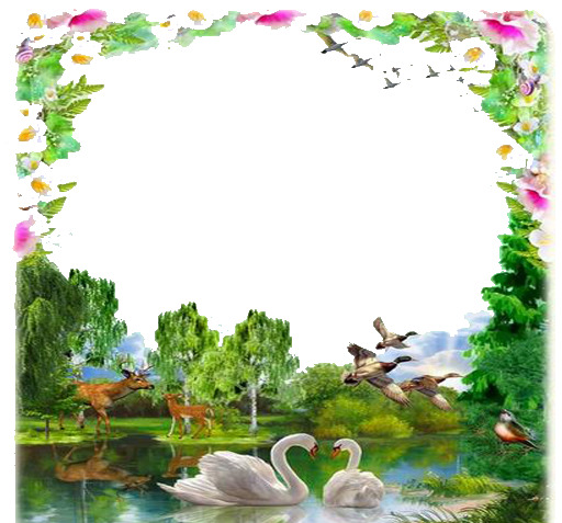 قاب عکس طبیعت جدید