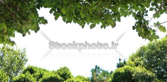 قاب عکس طبیعت جدید
