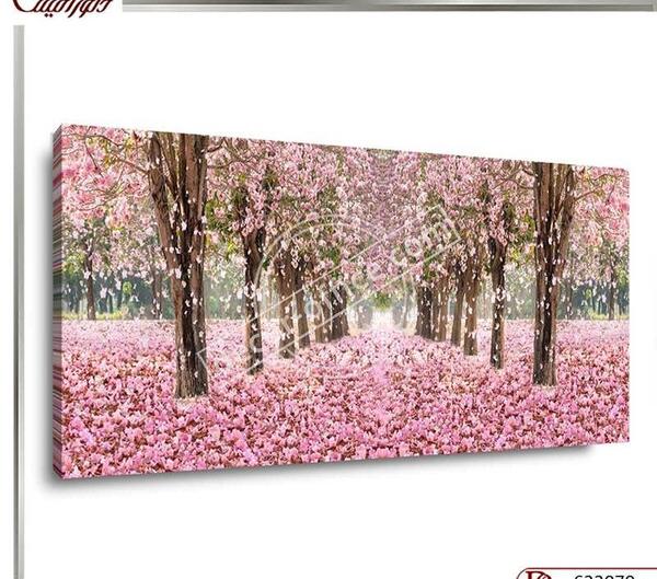 قاب عکس طبیعت جدید