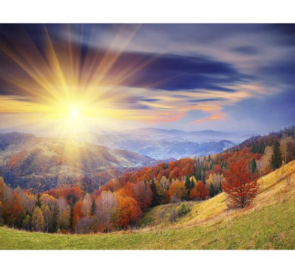 قاب عکس طبیعت جدید