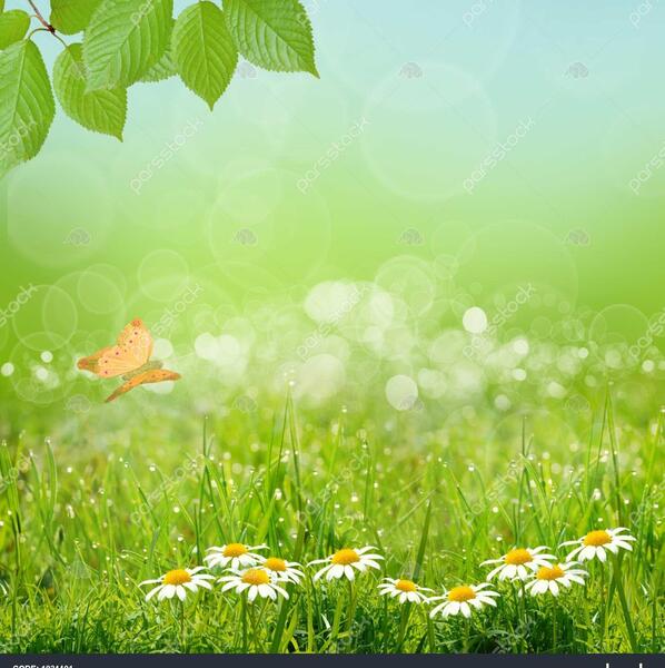 عکس طبیعت برای پس زمینه